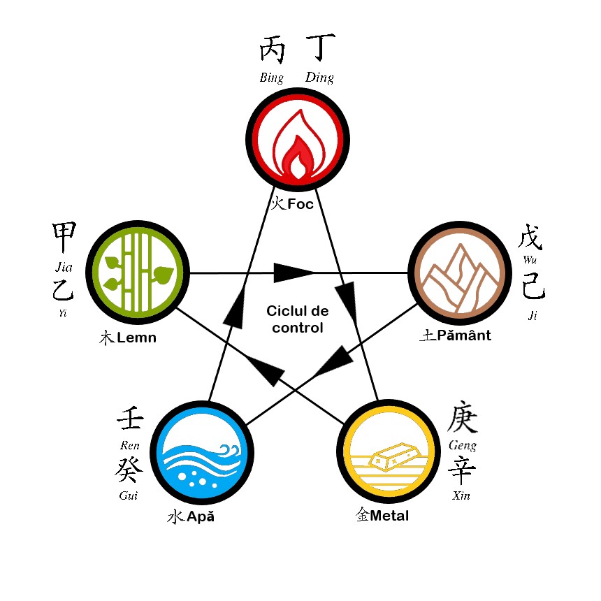 Cele 5 elemente Cătălin Vasiloiu ciclul de control