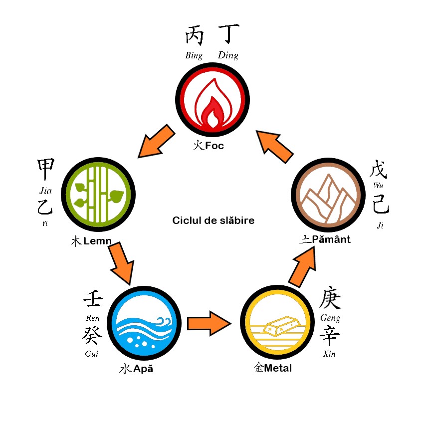 Cele 5 elemente Cătălin Vasiloiu ciclul de slăbire